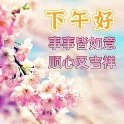 20240101152547front2_0_855411_FkRq-qyncCkdeo0kS6FMCOIYy3_5.jpg