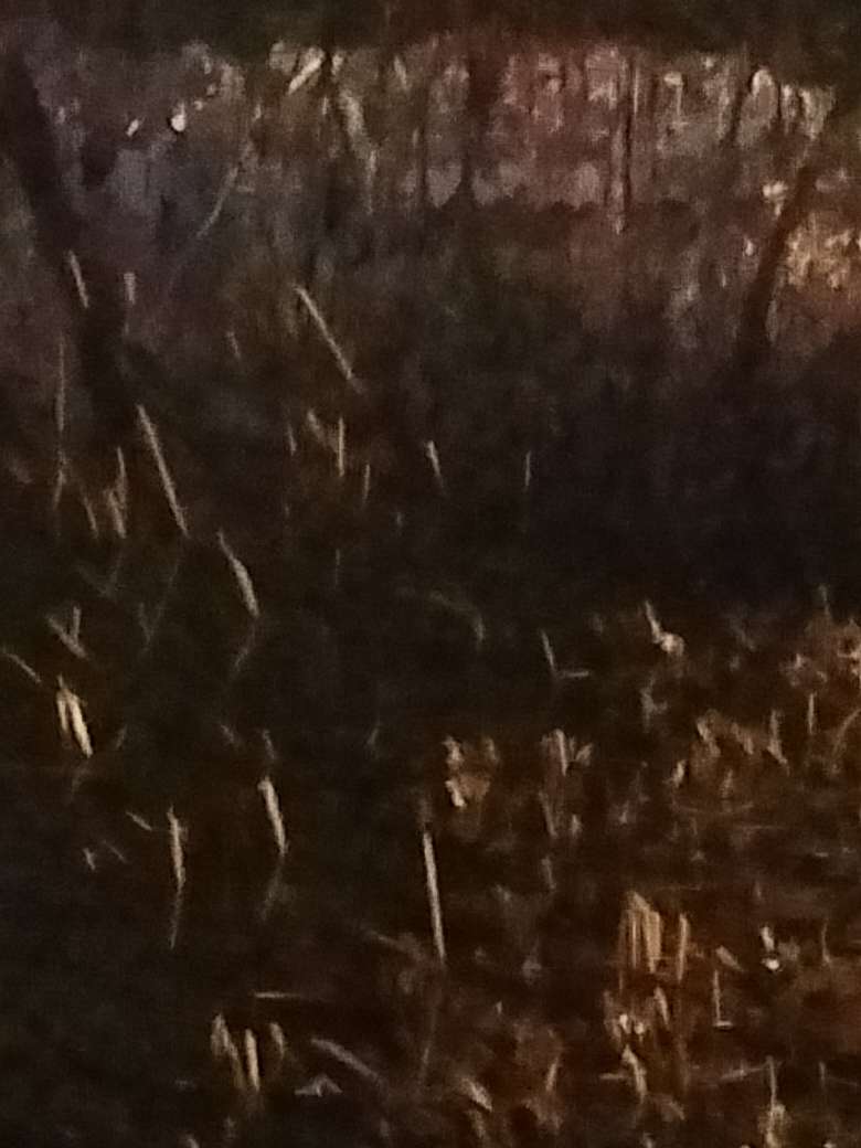 20240101215836front2_0_819049_FkLiP7mIYG9u3fd5T55s4WDjTJ3Y.jpg