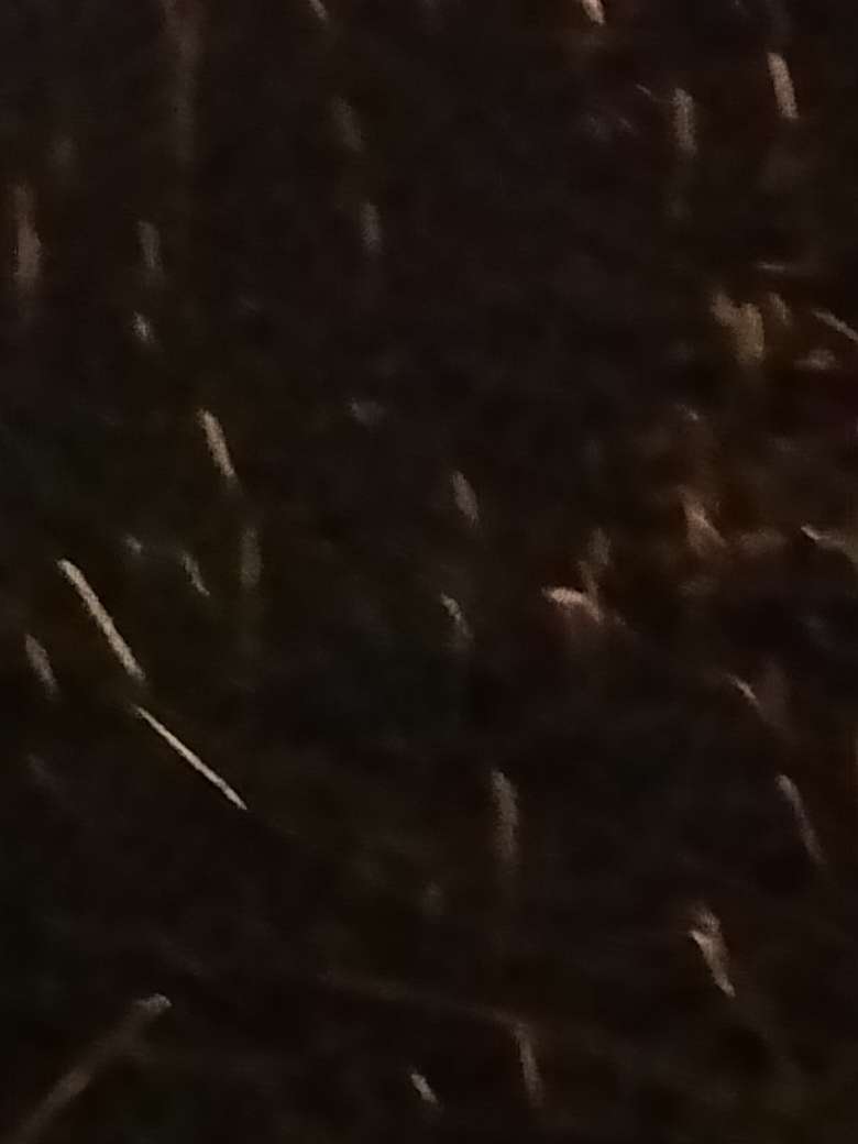 20240101215836front2_0_819049_Fs-PkrfKM-0jTwvnfDH_O1L7HJxx.jpg