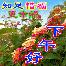 20240108140717front2_0_675609_FsibR_l3NBys8gFQwum5yaiyD360.gif