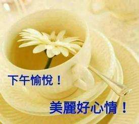 20240109123523front2_0_675609_FmwQ1A-IL_bDWdBcD-ceEw5UglDa.jpg