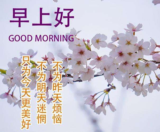 20240118083128front2_0_855411_FsZqOgbr0CLSVlCOjO10mmYHLbK9.jpg