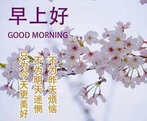 20240119081741front2_0_855411_Fh8f0QyB_NA8-MxNpvzi3yIRf0_0.jpg