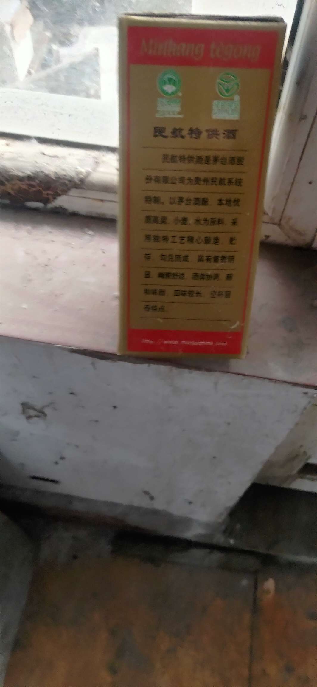 100921oyk5rrp4y85tetrr.jpg