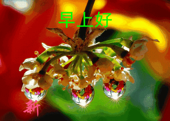 20240201082356front2_0_855411_FhbykpXVDBbPCIEK7tPJ4yMS89tL.gif