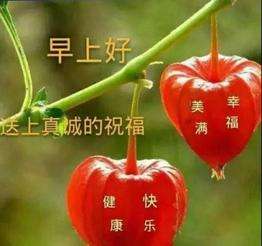20240202075648front2_0_855411_Fqd1-U_hfpO53QDLOdVt7TqlP7dC.jpg
