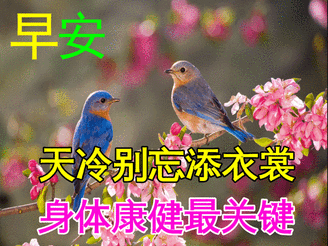20240203074102front2_0_855411_FtcMQhDYU1-tFSLIZ01Aq9D4hShW.gif