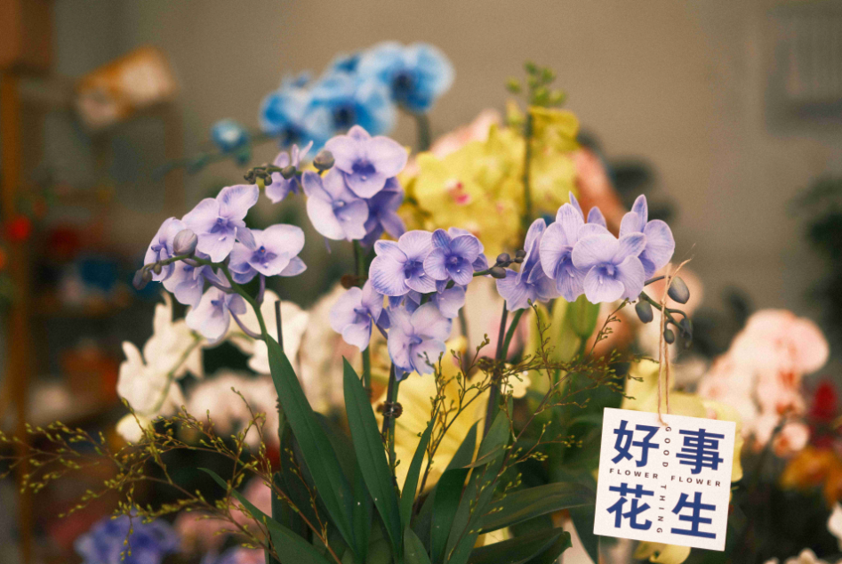 QQ�������ͼ20240203104301.png