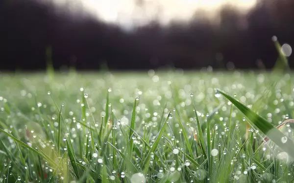 89.jpg