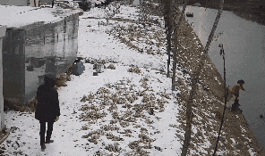 16.gif