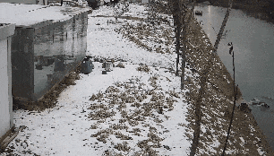 15.gif