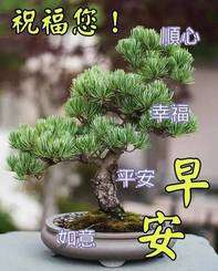 20240219061911front2_0_855411_Fl6cAJr9DCjb07jox8gosRv7XRtJ.jpg