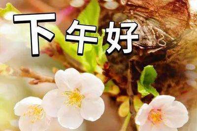 20240308131933front2_0_675609_Fr-rzOUTGOh6cbR_2auqTQA5FCj9.jpg