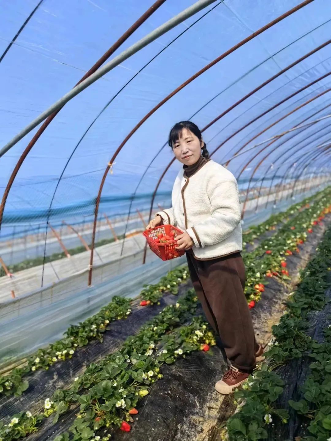 ΢��ͼƬ_20240311101529.jpg