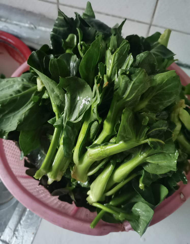 QQ�������ͼ20240311150449.png
