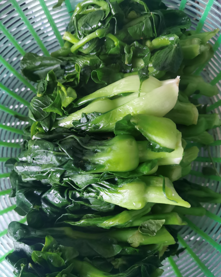 QQ�������ͼ20240311150511.png