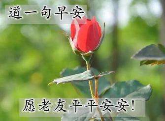 20240314065323front2_0_855411_Fuh62F16tHMIYWcAdrXQXp6K60Q0.jpg