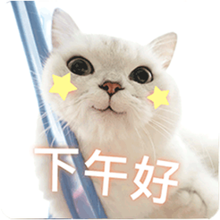 20240319153818front2_0_675609_FoPgodULKV69aYENHVoJESoBoYVk.png