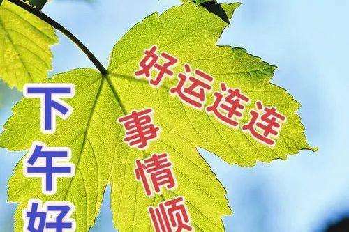 20240320150030front2_0_675609_FmCx7G5VIkirfLvX4VfXIxWJs4yC.jpg