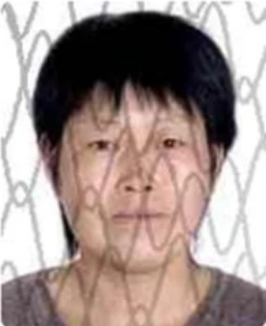 ΢�Ž�ͼ_20240408152536.png