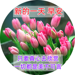 20240416073124front2_0_855411_Ft6BBQaVeqNl-6nOq-uzyLbPzNpJ.png