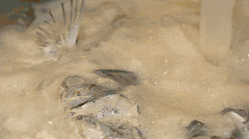 20240420111124front1_0_707984_Fsh42iTqSAsSAkcY7kn77mxTB868.gif