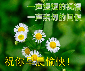20240427065123front2_0_855411_FklWbT85YNdE6wikS-IdKC6juSQl.gif