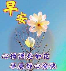 20240514071417front2_0_855411_FrS5WIpXHmsJvGukaXFdZK7G-m_X.jpg