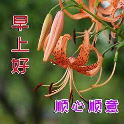 20240518072744front2_0_855411_Fo4kR8nwjo2c78oYBIIMMHY0cY8z.jpg