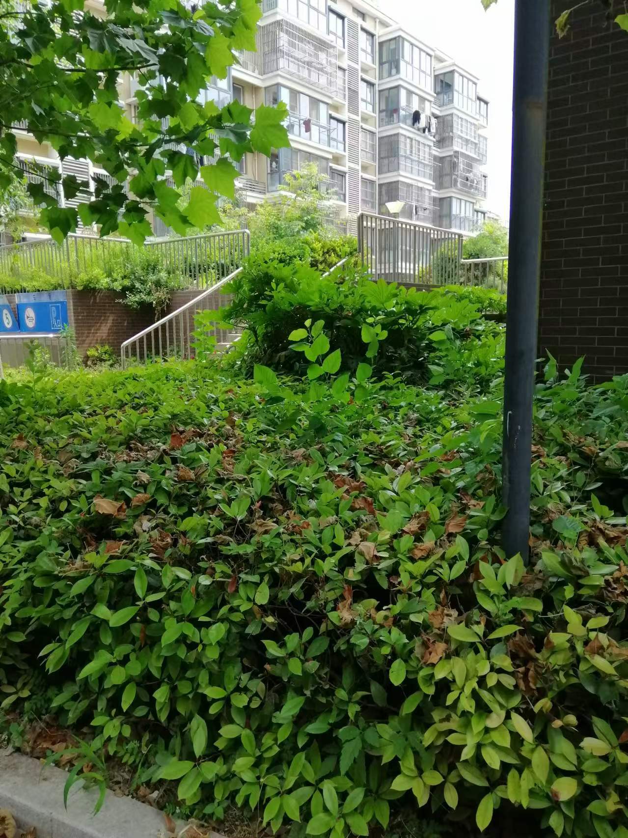 ΢��ͼƬ_20240526123226.jpg