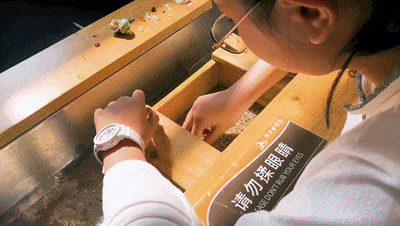 13.gif