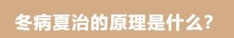 10.png