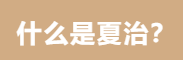 13.png