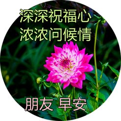 20240629073513front2_0_855411_Foo_V1rWozk6pibdCMRXzZfzWdvz.png