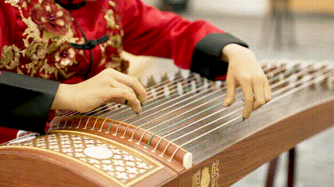 8.gif