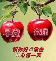 20240717073905front2_0_855411_FsBjhwU7URkL-7CtTw12q55u9ZD6.jpg