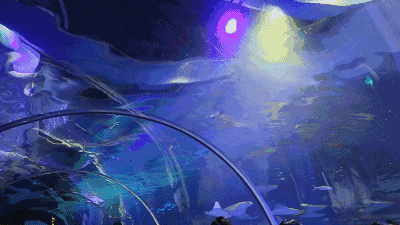 ΢��ͼƬ_20240718123720.gif