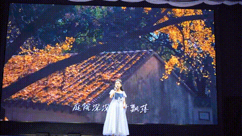 9.gif
