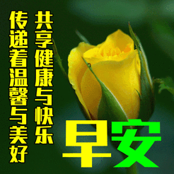 20240805053333front2_0_855411_Foqr0Y61Vcw6xrEsrg5k87EU9IuF.gif