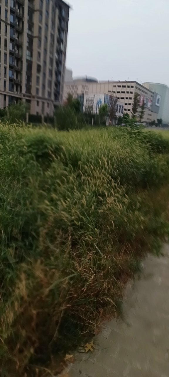 20240808062900front2_0_884083_FrvHsUQ1w_cwhi2NsZeYM9tMJqrZ.png