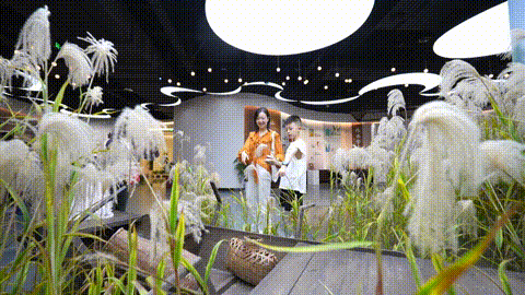 5.gif
