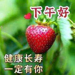 20240815152711front2_0_675609_Fn9BjXj174nrm7o3n02dYp96DkiC.jpg