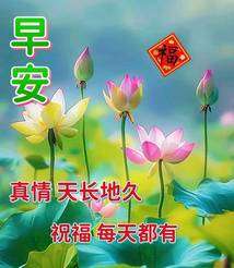 20240819081650front2_0_855411_Ful47hh9pqVse1wKVsl5KIOBYas2.jpg