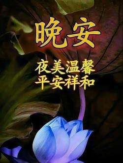 20240909232749front2_0_832048_Fg5XaHh3LJ7y4d3qOrtRauyfB66R.jpg