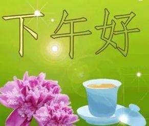 20240914160300front2_0_675609_FqfQISWZxAq1gCqwqTVcER8_5jjr.jpg