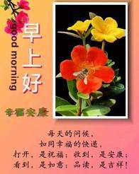 20240918062430front2_0_855411_FqxBM6qVNueMg3lJB8WKGLn5UXm8.jpg