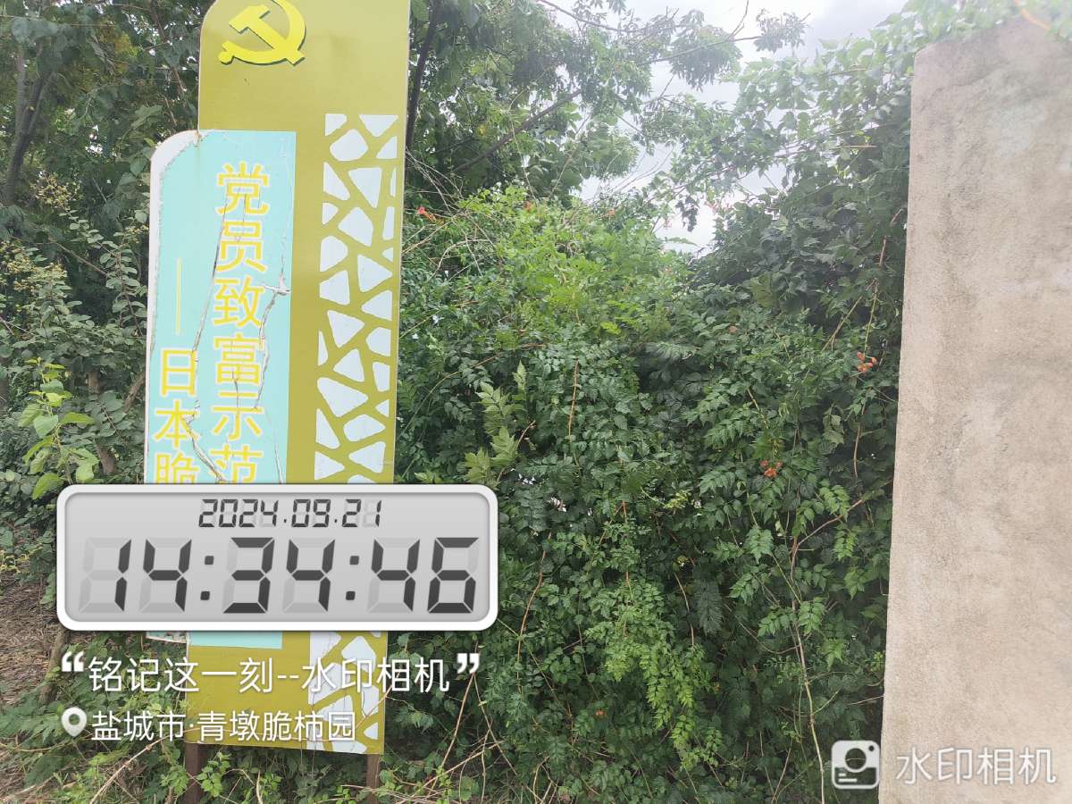 20240922073357front2_0_11179_FqHp-97hkdv6YX2k3ZW8i9vCBZsj.jpg