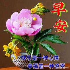 20240926060318front2_0_855411_Fgoi2SNnLt3cNEe9cYX8gouv_oUY.jpg