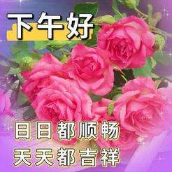 20240930164943front2_0_675609_Fl9r8Z7koSHrQ3e0qgRk06SMll86.jpg