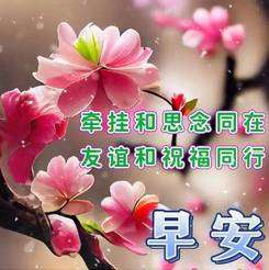 20241002070830front2_0_855411_FgwBxmrj5pD752wXUmuwfpg4DEwv.jpg